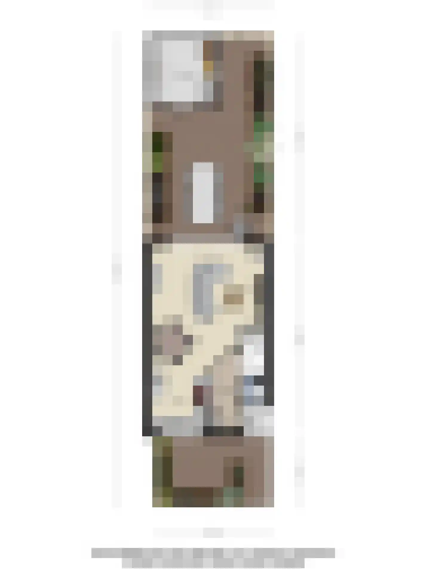 Burgemeester de Kortesingel 14 Scherpenzeel thumbnail 37