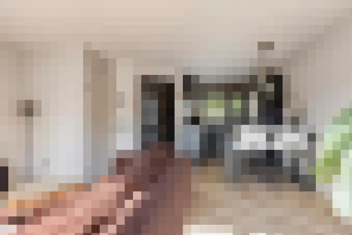 Burgemeester de Kortesingel 14 Scherpenzeel thumbnail 6