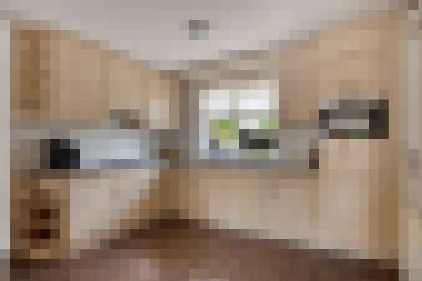 Burgemeester de Kortesingel 23 Scherpenzeel thumbnail 11
