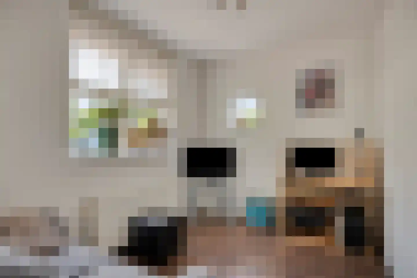 Burgemeester de Kortesingel 23 Scherpenzeel thumbnail 13