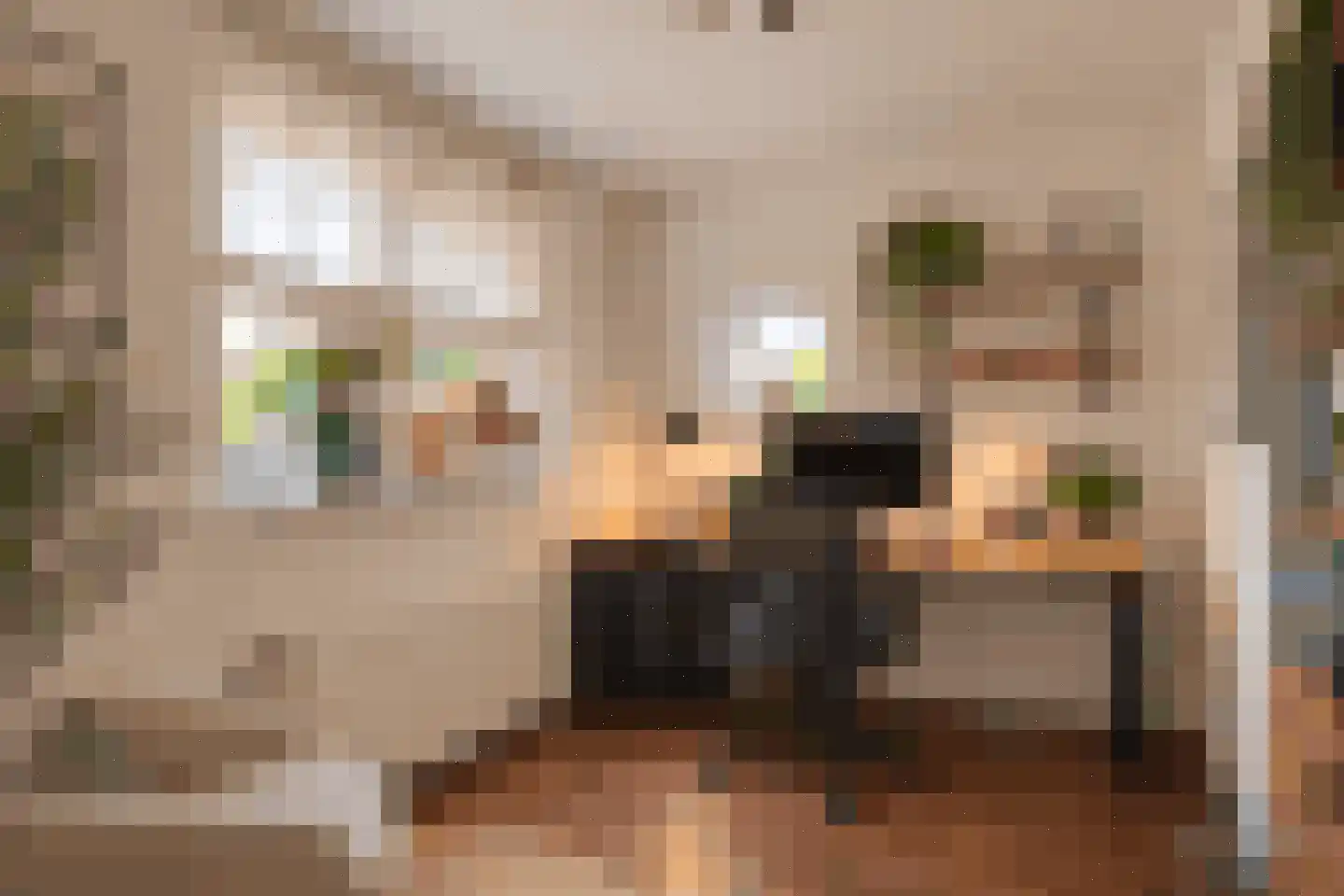 Burgemeester de Kortesingel 23 Scherpenzeel thumbnail 14