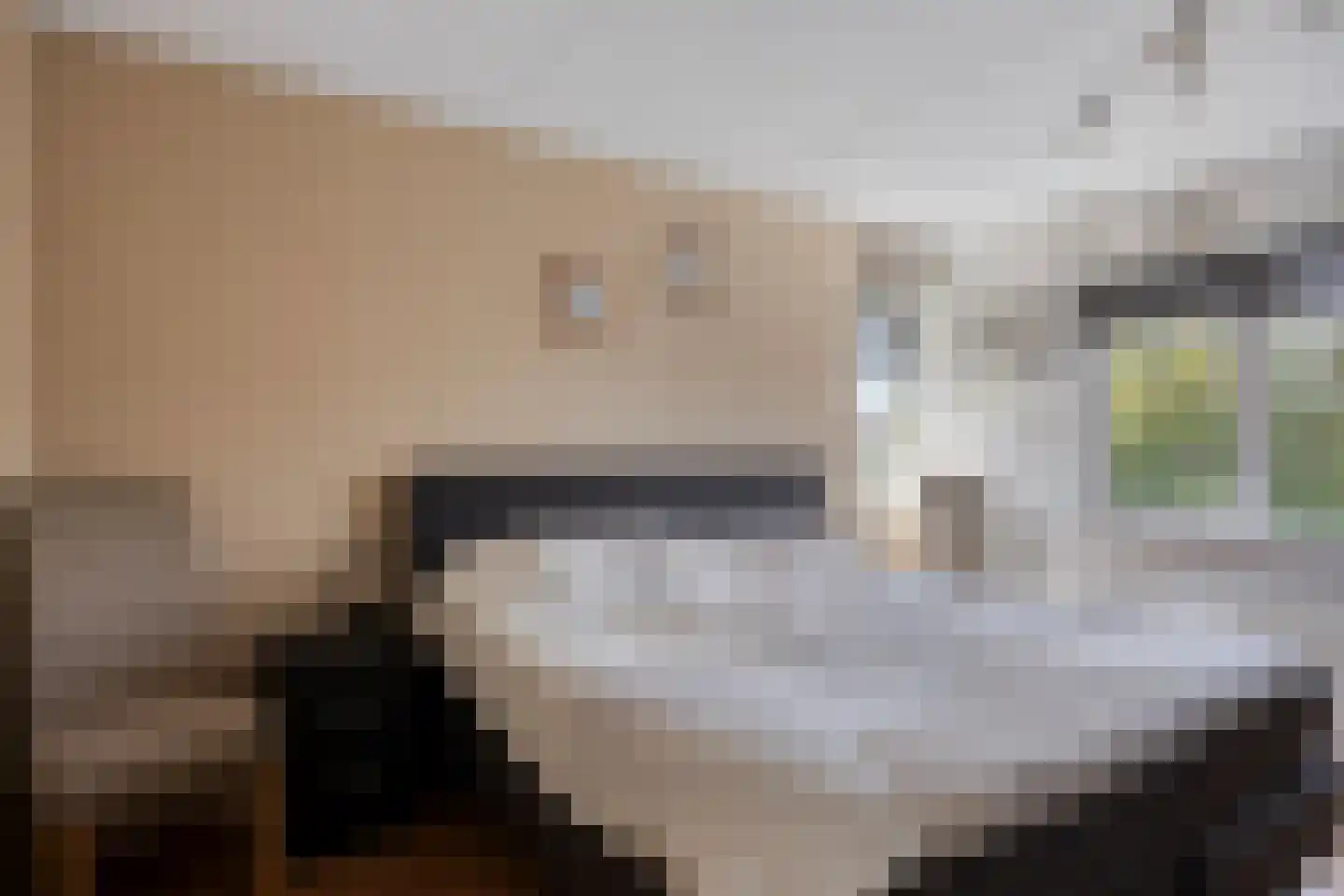 Burgemeester de Kortesingel 23 Scherpenzeel thumbnail 15
