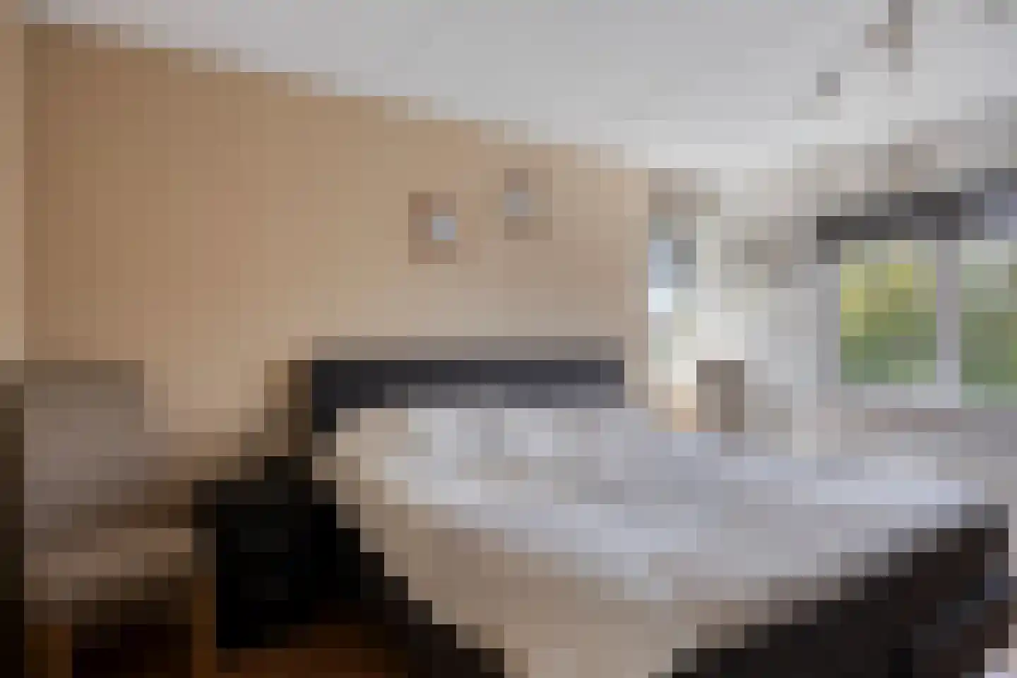 Burgemeester de Kortesingel 23 Scherpenzeel thumbnail 18
