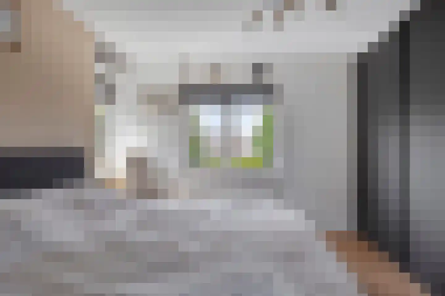 Burgemeester de Kortesingel 23 Scherpenzeel thumbnail 19