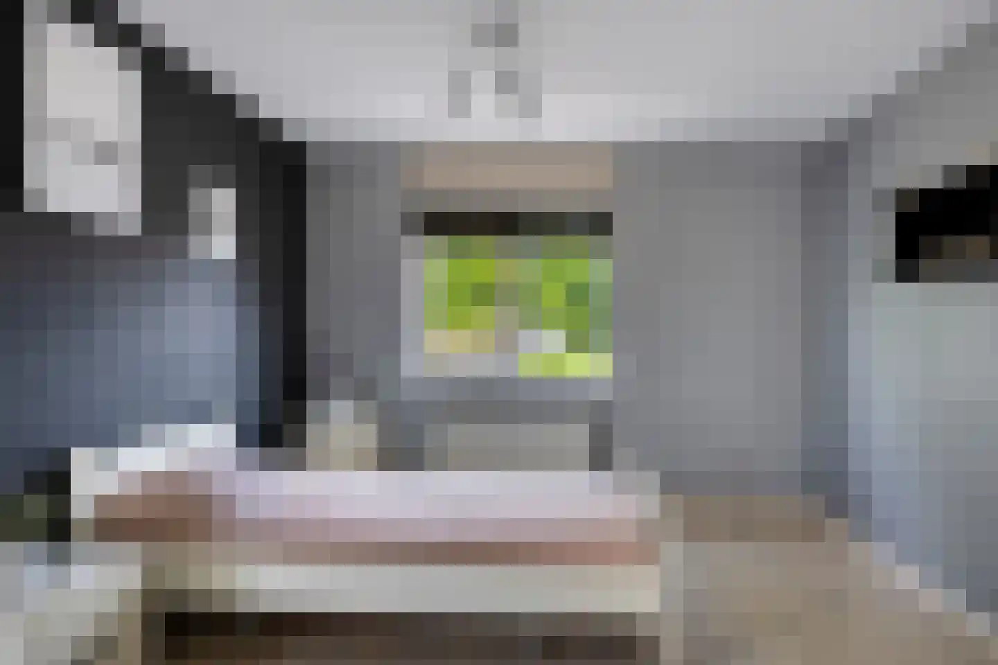Burgemeester de Kortesingel 23 Scherpenzeel thumbnail 22