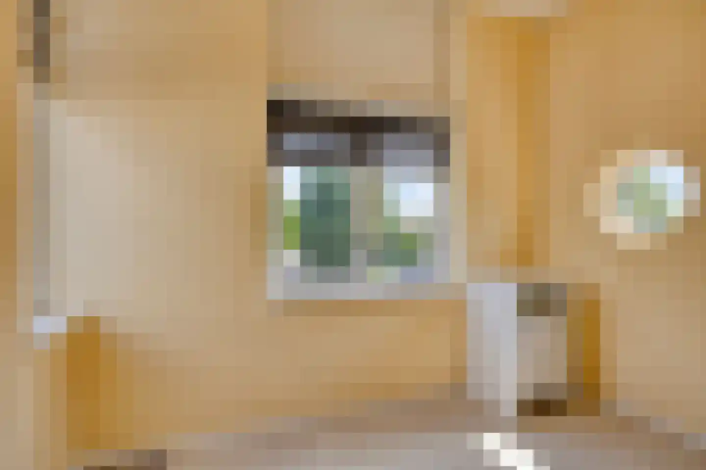 Burgemeester de Kortesingel 23 Scherpenzeel thumbnail 27