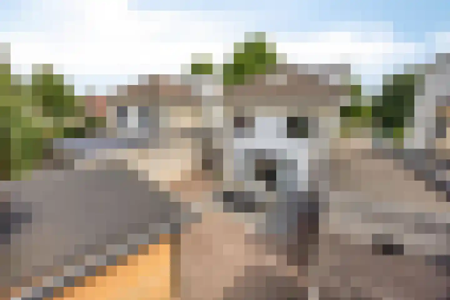 Burgemeester de Kortesingel 23 Scherpenzeel thumbnail 28