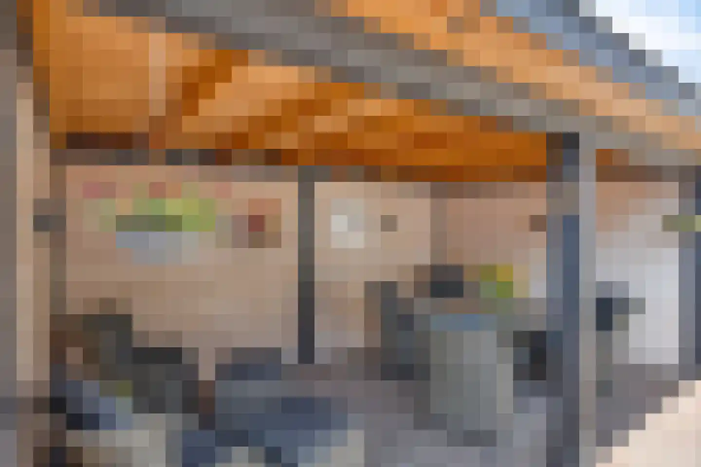Burgemeester de Kortesingel 23 Scherpenzeel thumbnail 31