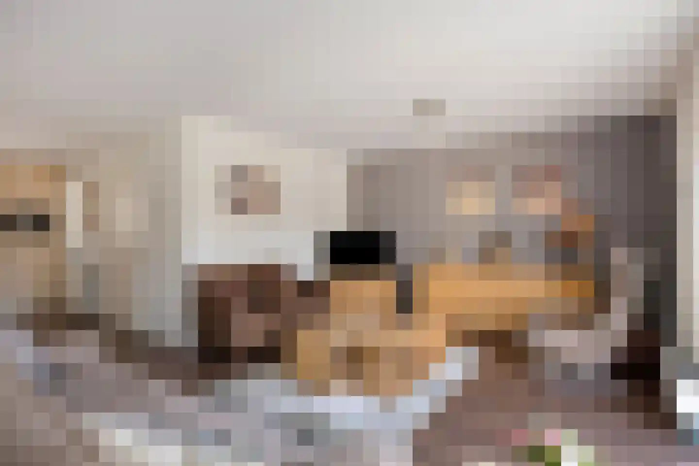 Burgemeester de Kortesingel 23 Scherpenzeel thumbnail 7