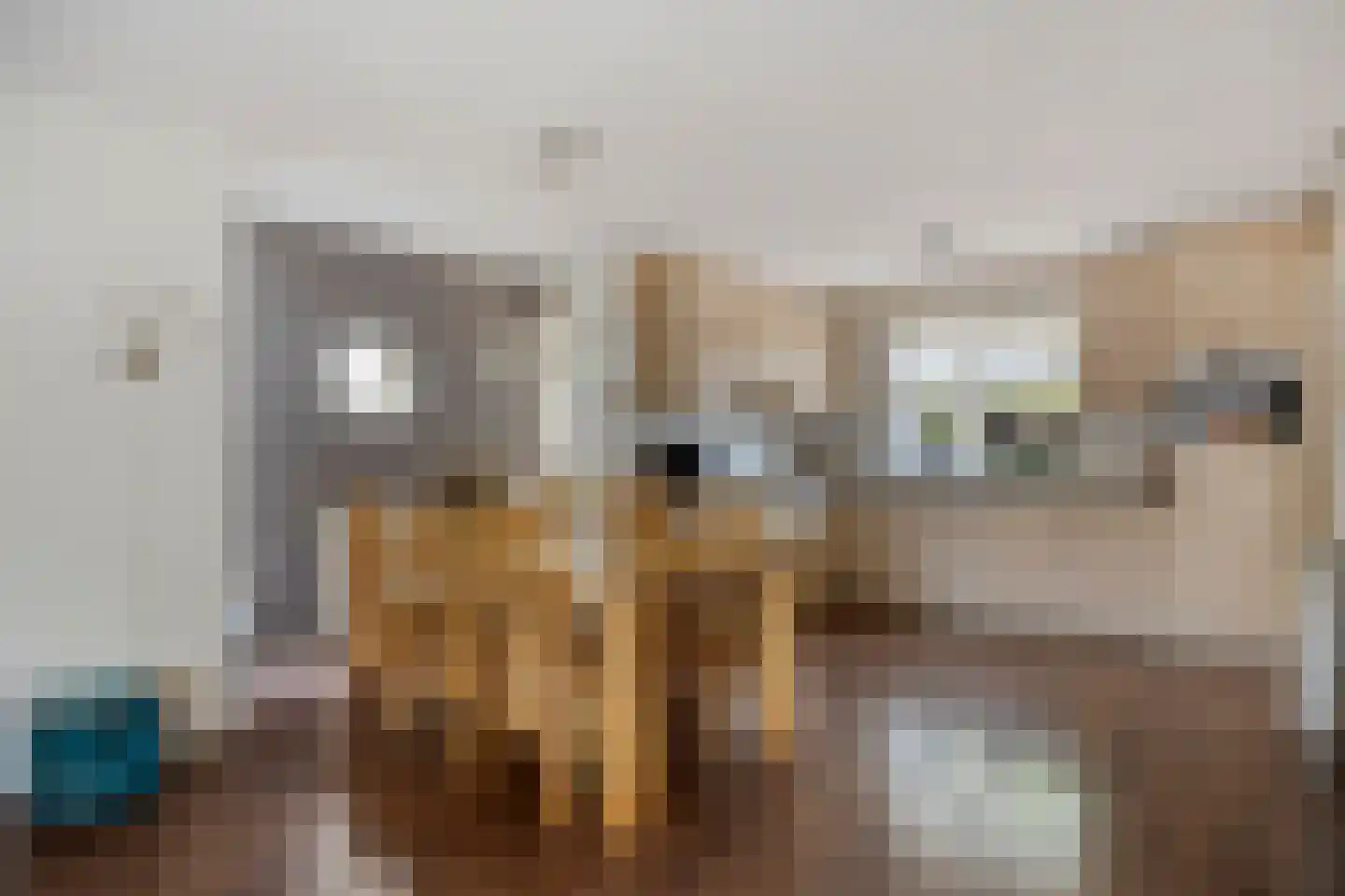 Burgemeester de Kortesingel 23 Scherpenzeel thumbnail 9