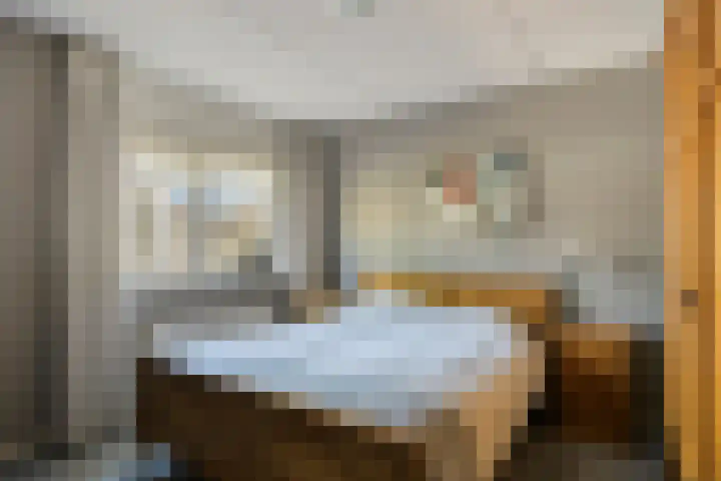 Burgemeester de Kortesingel 32 Scherpenzeel thumbnail 14