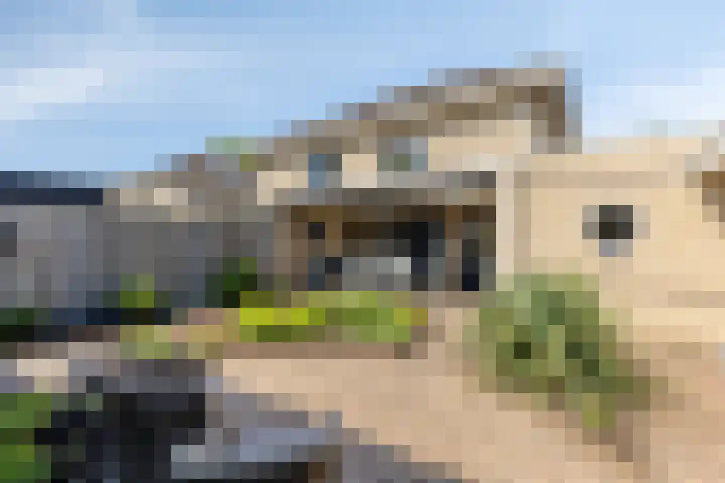 Burgemeester de Kortesingel 32 Scherpenzeel thumbnail 24