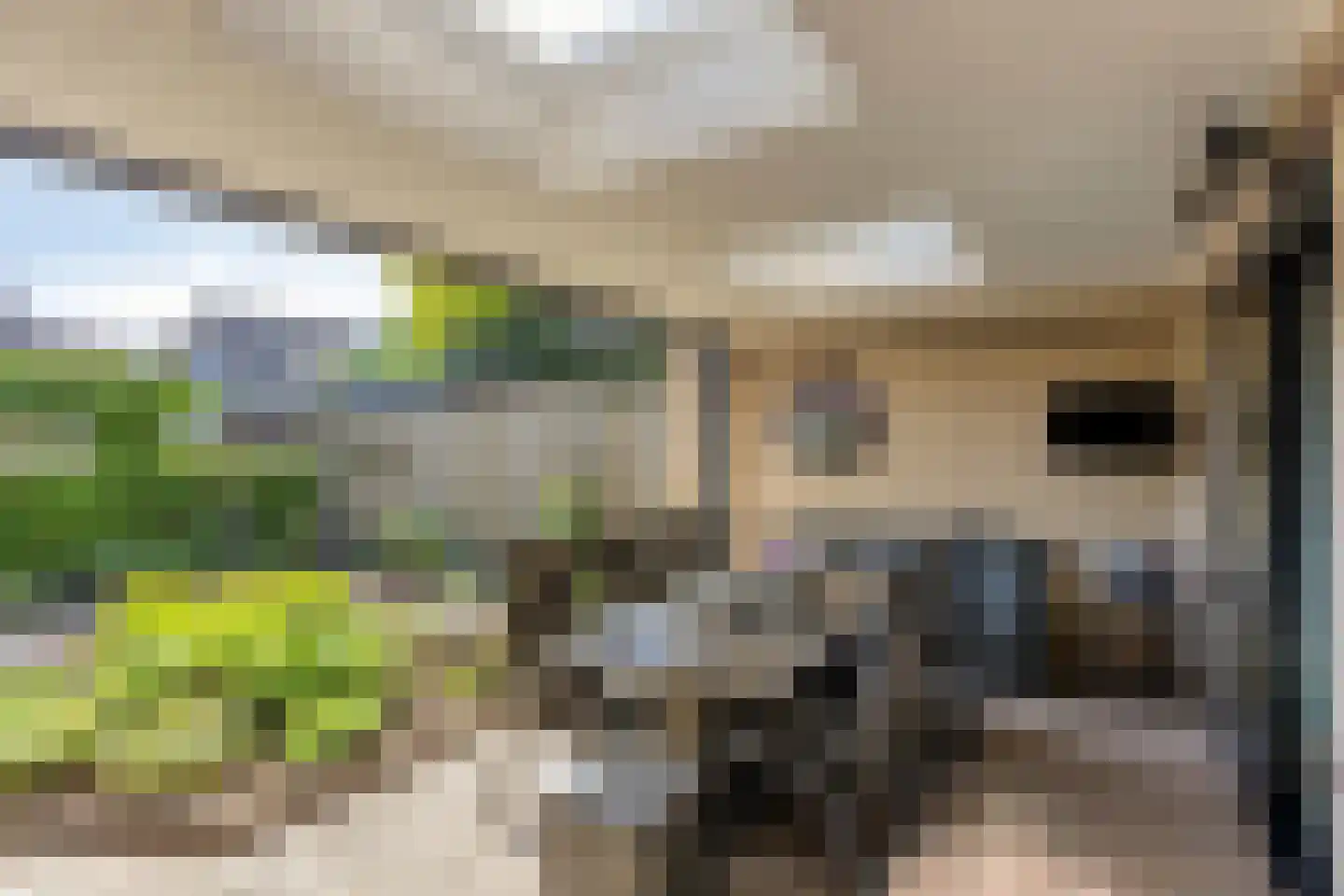 Burgemeester de Kortesingel 32 Scherpenzeel thumbnail 25