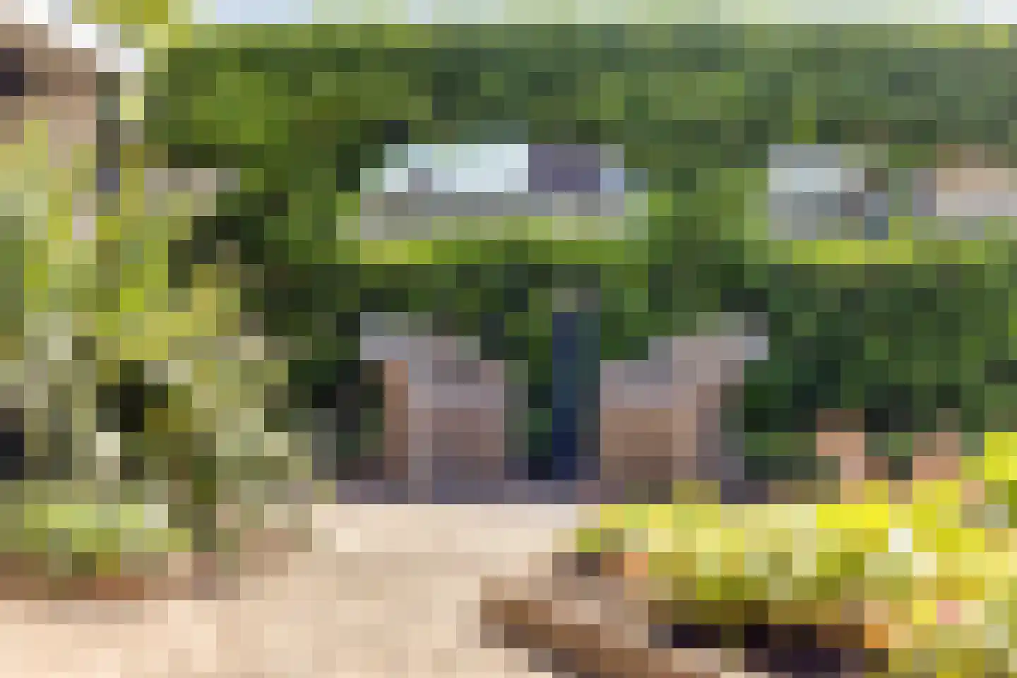 Burgemeester de Kortesingel 32 Scherpenzeel thumbnail 29