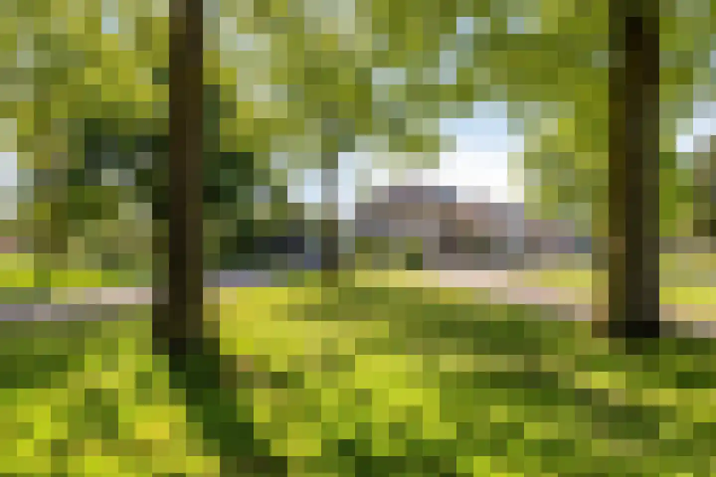 Burgemeester de Kortesingel 32 Scherpenzeel thumbnail 33
