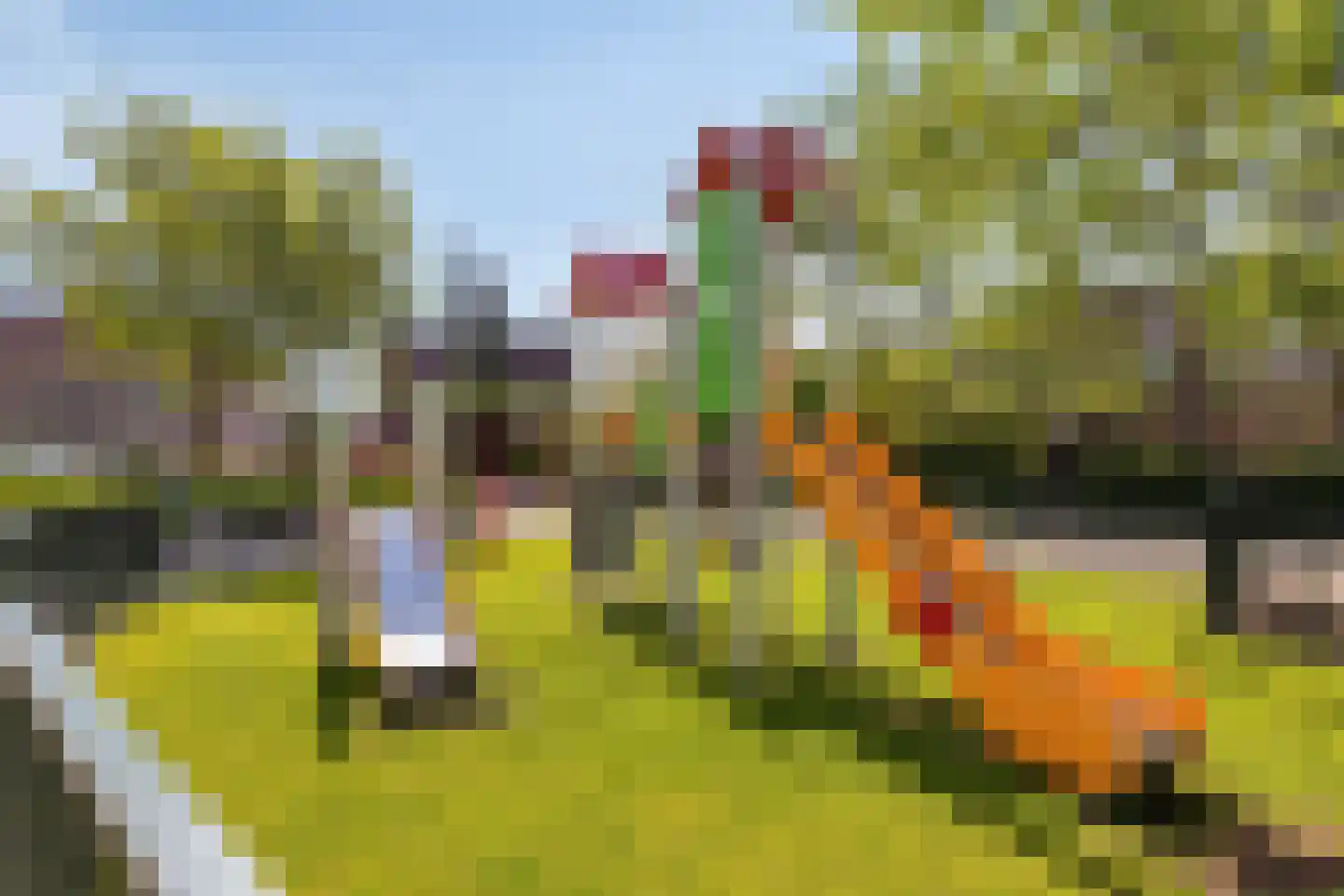 Burgemeester de Kortesingel 32 Scherpenzeel thumbnail 34
