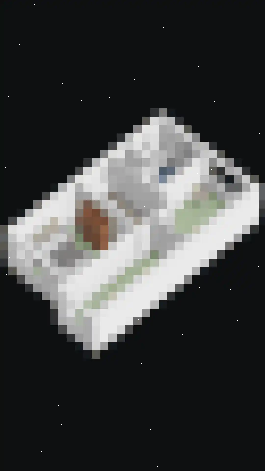 Burgemeester de Kortesingel 32 Scherpenzeel thumbnail 40