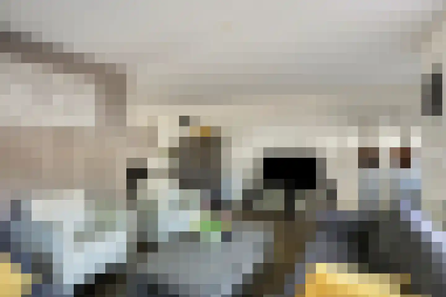 Burgemeester de Kortesingel 32 Scherpenzeel thumbnail 5