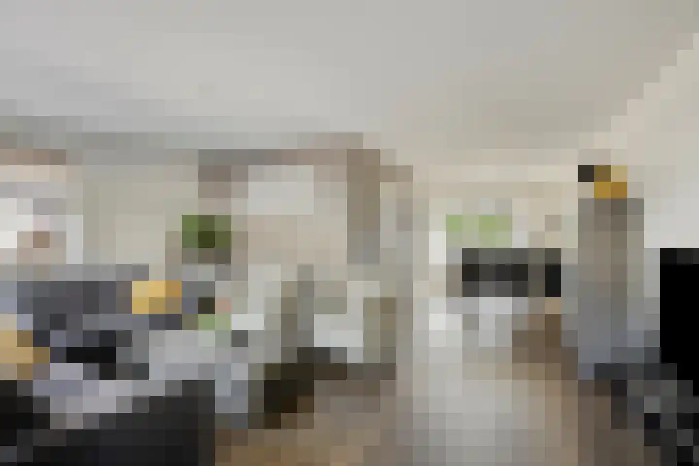 Burgemeester de Kortesingel 32 Scherpenzeel thumbnail 6