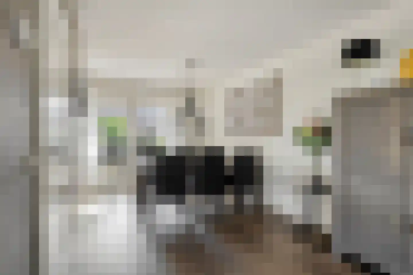 Burgemeester de Kortesingel 32 Scherpenzeel thumbnail 7