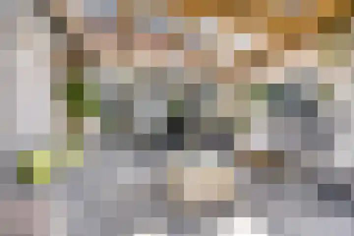 Burgemeester De la Saussaye Briëtweg 28 de Wijk thumbnail 6