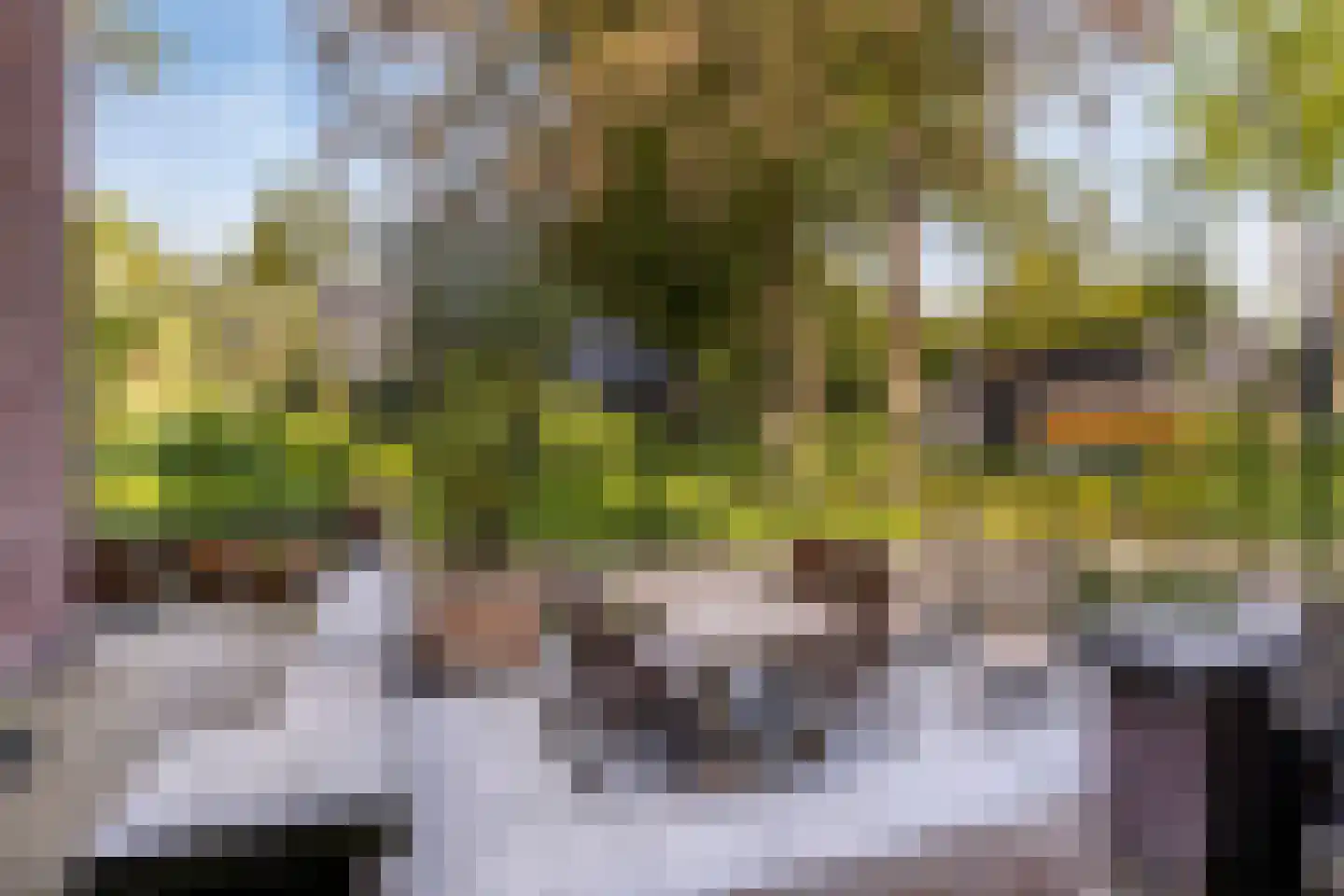 Burgemeester de Manlaan 1 B Breda thumbnail 14