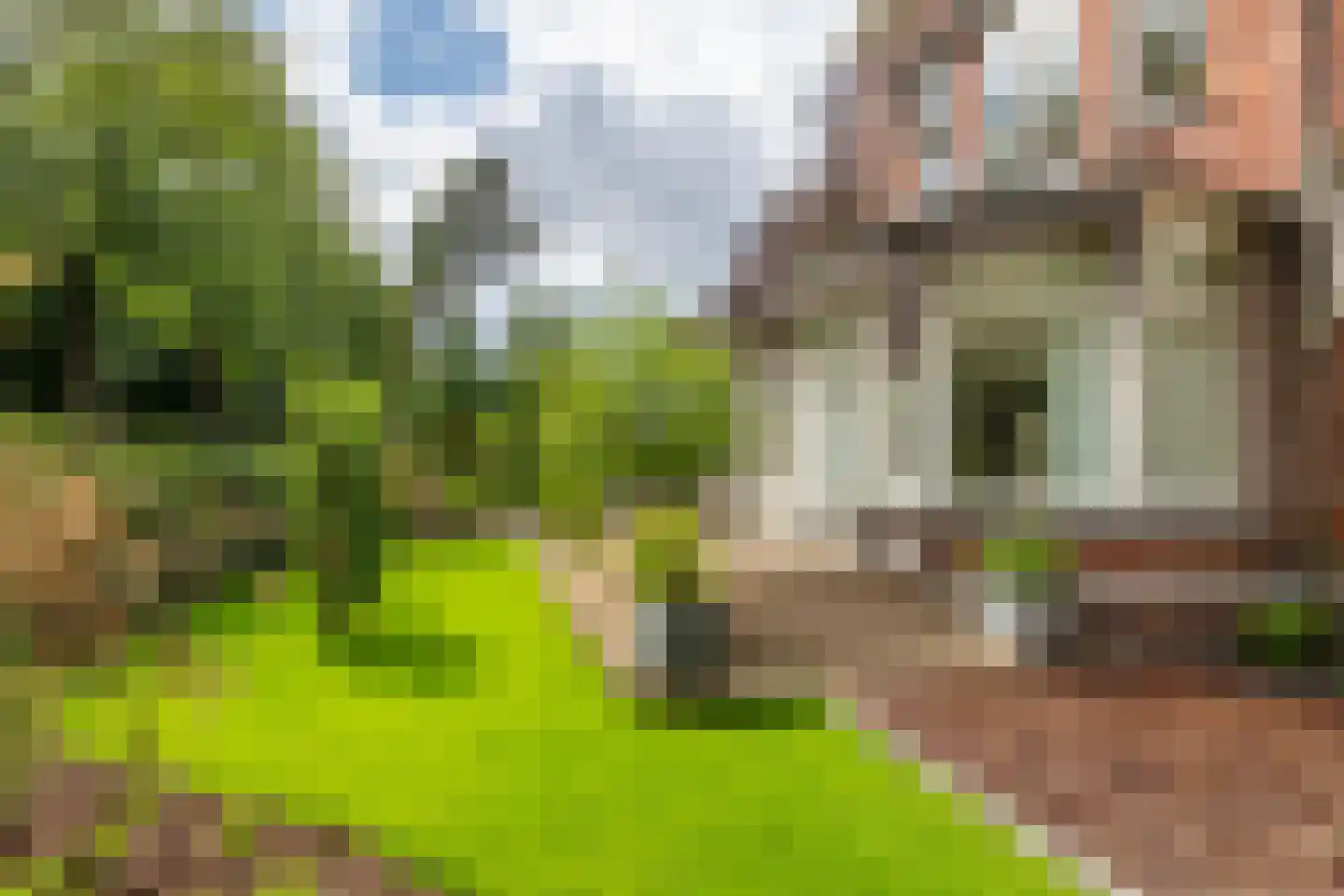 Burgemeester de Manlaan 1 B Breda thumbnail 30