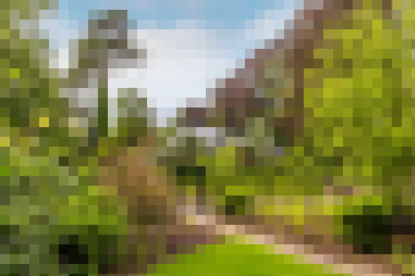 Burgemeester de Manlaan 1 B Breda thumbnail 31