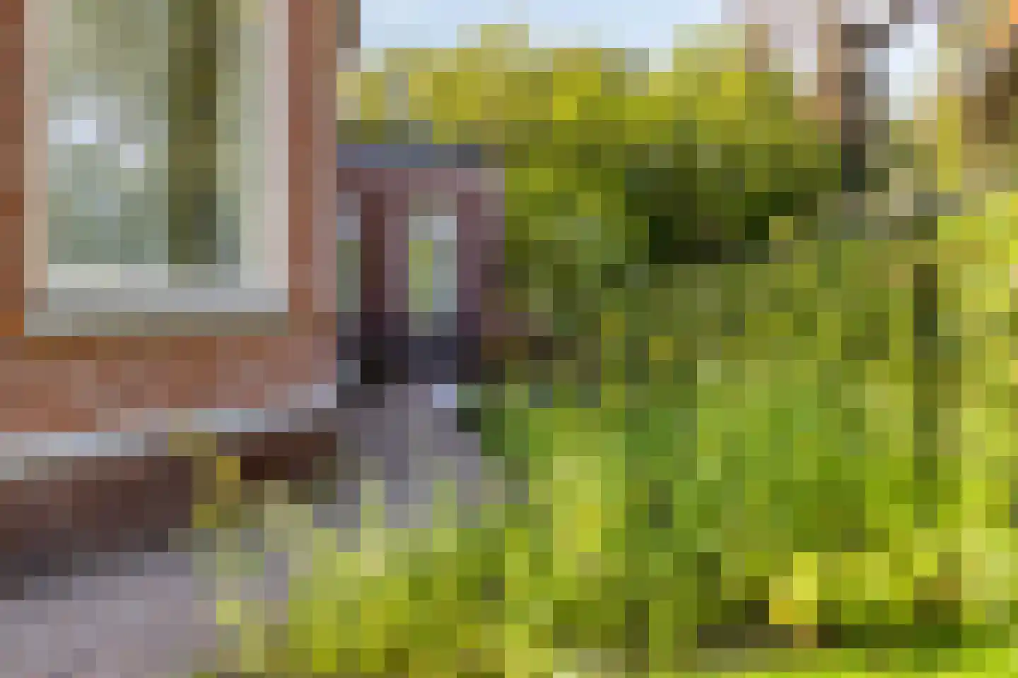 Burgemeester de Manlaan 1 B Breda thumbnail 33