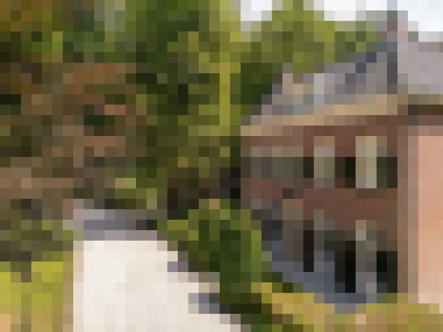 Burgemeester de Manlaan 98 Breda thumbnail 7