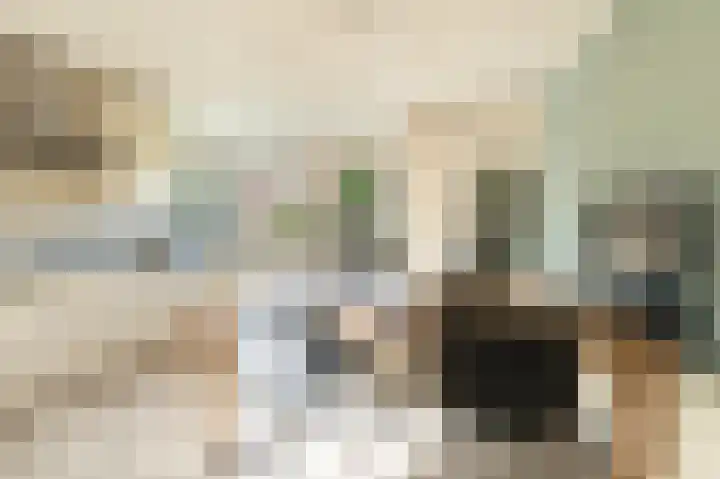 Burgemeester de Meesterlaan 36 Markelo thumbnail 11