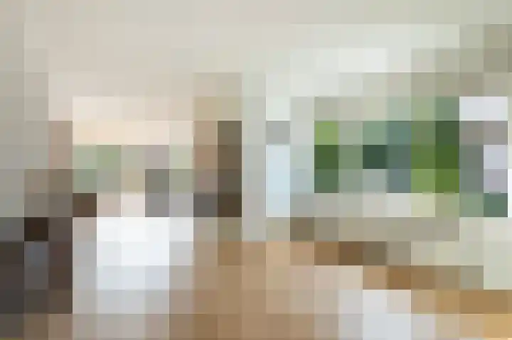 Burgemeester de Meesterlaan 36 Markelo thumbnail 15