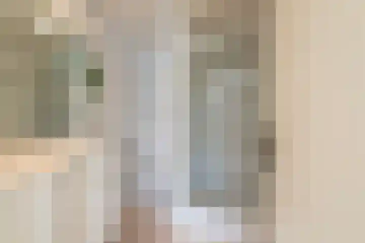 Burgemeester de Meesterlaan 36 Markelo thumbnail 18