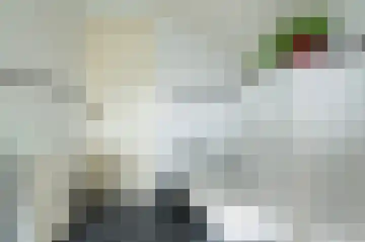 Burgemeester de Meesterlaan 36 Markelo thumbnail 29