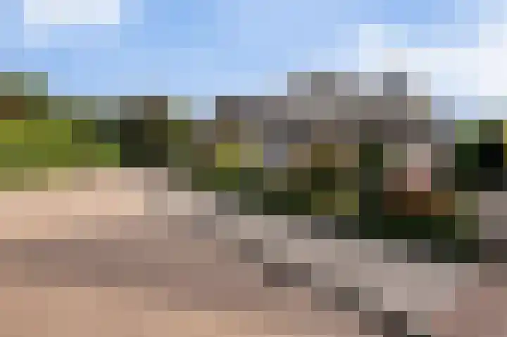 Burgemeester de Meesterlaan 36 Markelo thumbnail 33