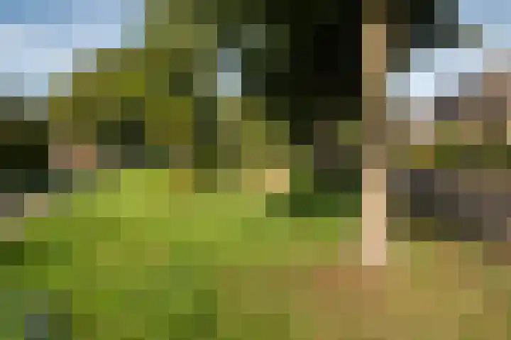 Burgemeester de Meesterlaan 36 Markelo thumbnail 34