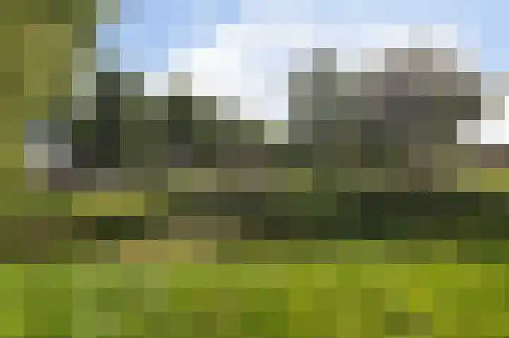 Burgemeester de Meesterlaan 36 Markelo thumbnail 35