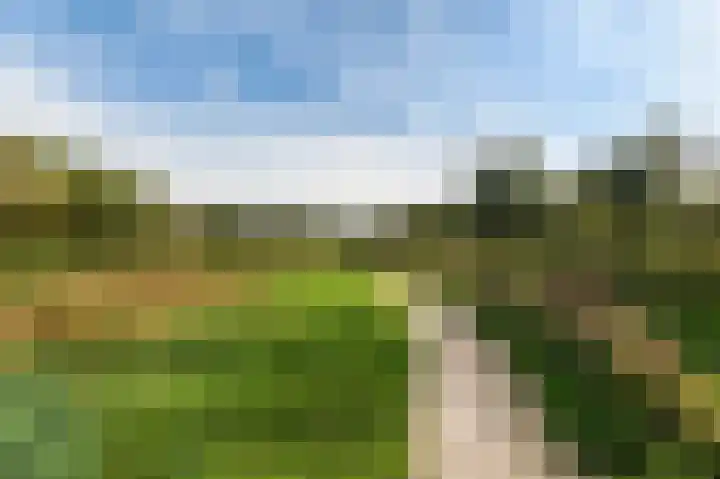 Burgemeester de Meesterlaan 36 Markelo thumbnail 36