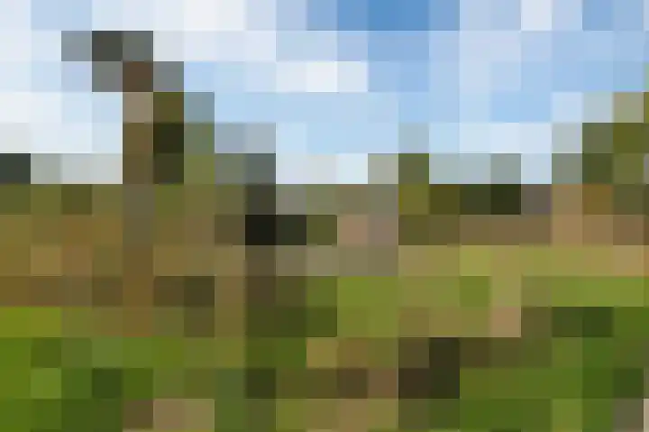 Burgemeester de Meesterlaan 36 Markelo thumbnail 37