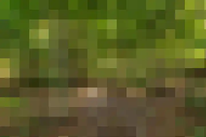 Burgemeester de Meesterlaan 36 Markelo thumbnail 38