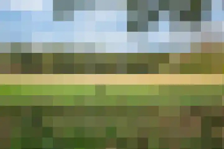 Burgemeester de Meesterlaan 36 Markelo thumbnail 39