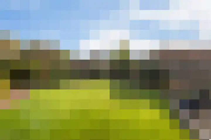 Burgemeester de Meesterlaan 36 Markelo thumbnail 4