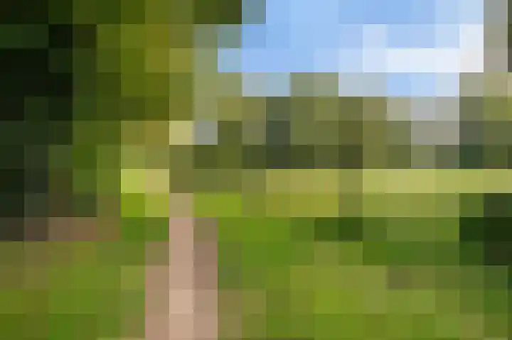 Burgemeester de Meesterlaan 36 Markelo thumbnail 40
