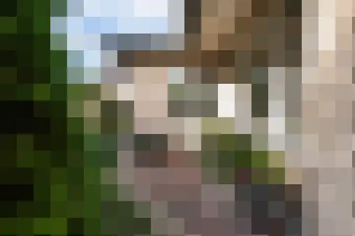 Burgemeester de Meesterlaan 36 Markelo thumbnail 6