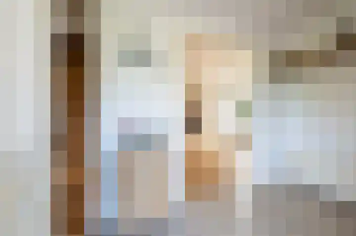 Burgemeester de Meesterlaan 36 Markelo thumbnail 8