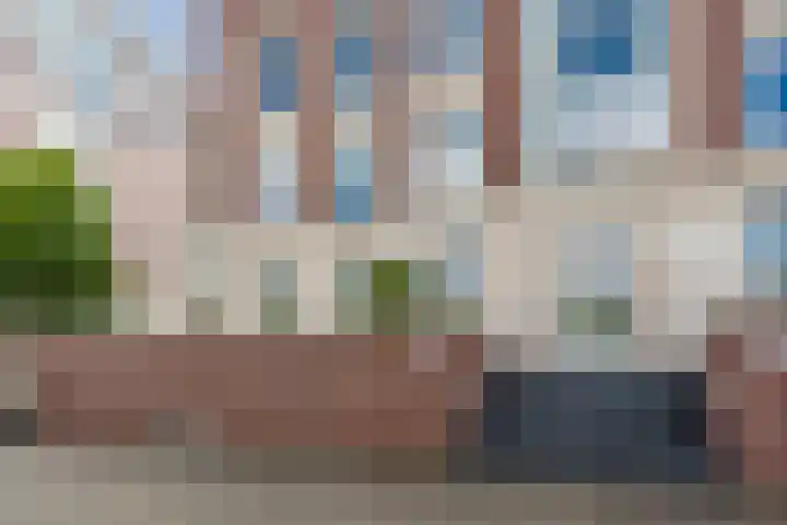 Burgemeester De Monchyplein 112 Den Haag thumbnail 6