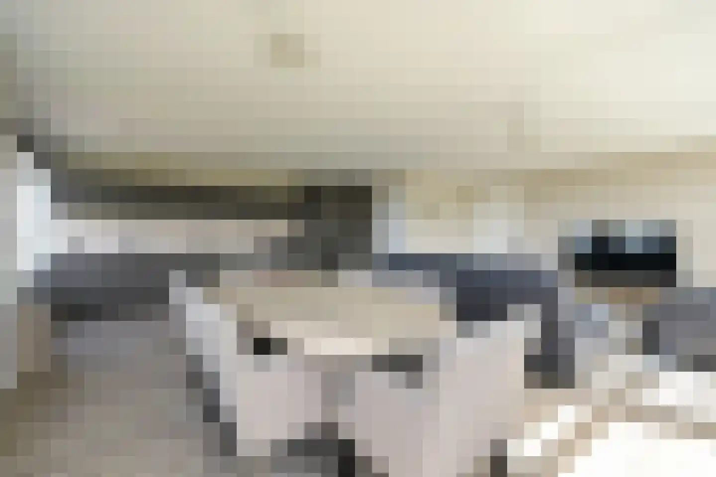 Burgemeester De Monchyplein 228 Den Haag thumbnail 4
