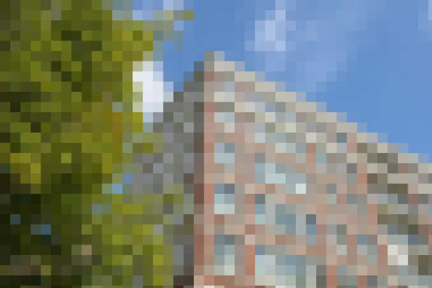 Burgemeester De Monchyplein 228 Den Haag thumbnail 9