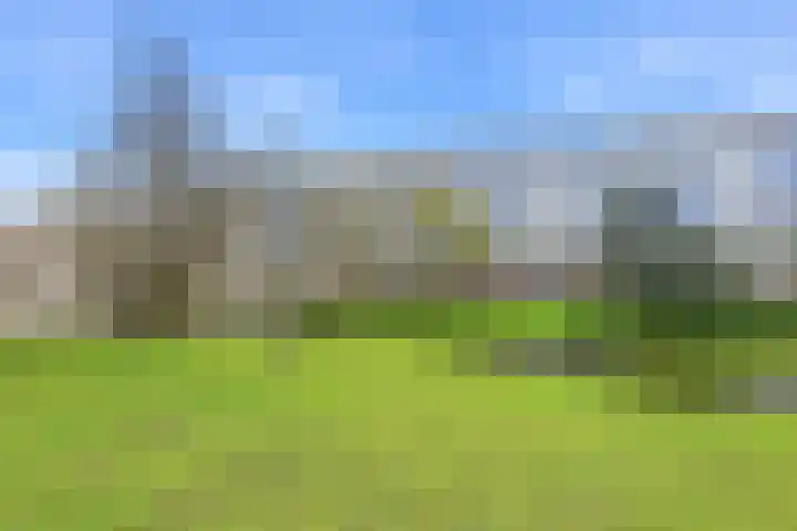 Burgemeester De Monchyplein 54 Den Haag