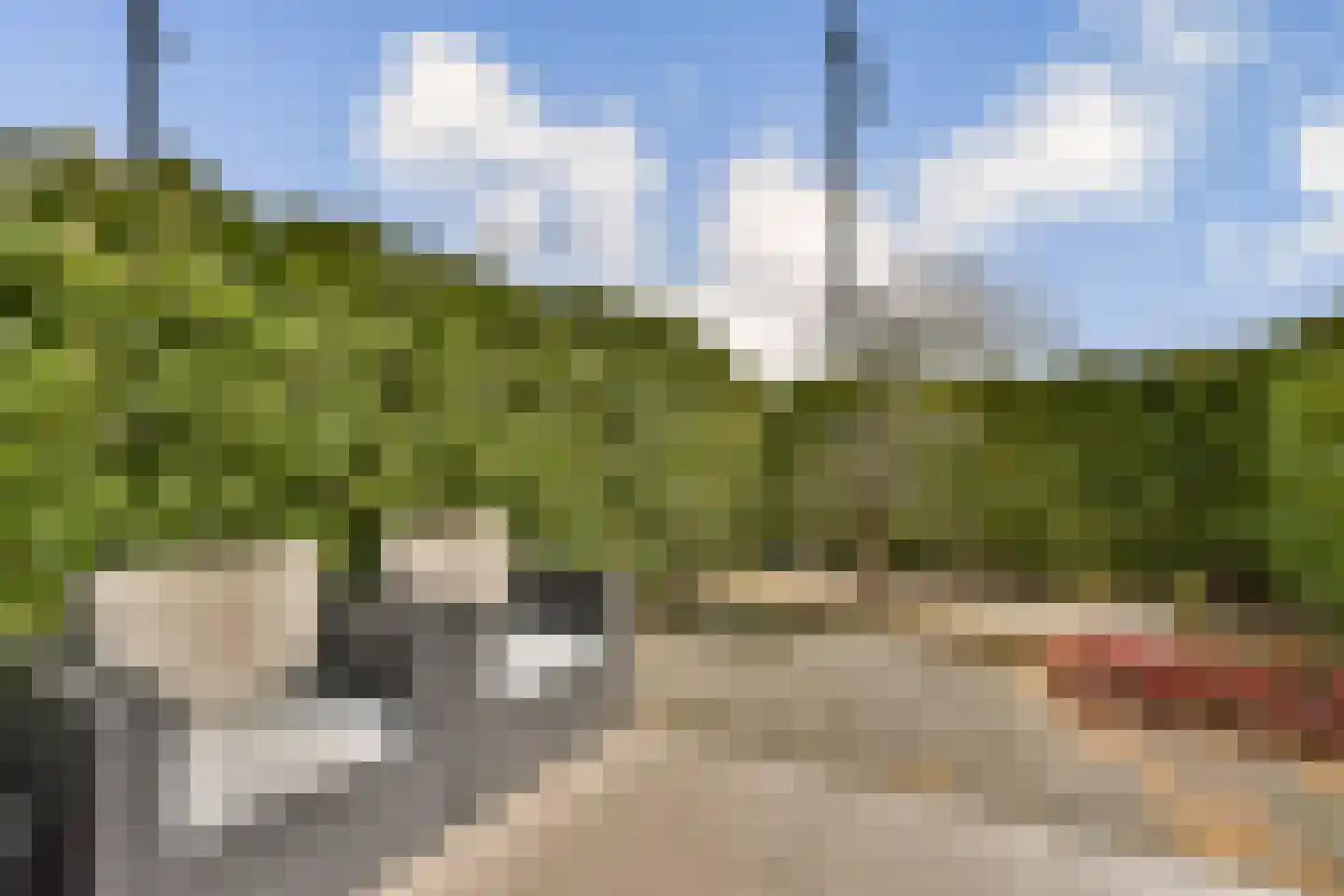 Burgemeester de Raadtsingel 1 Dordrecht thumbnail 11